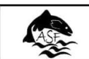 AA Sea Foods logo